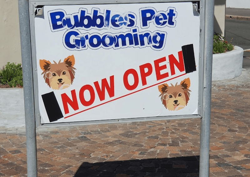 Bubble's Pet Grooming in Strand Pethub