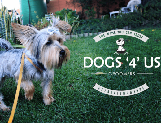 Dogs 4 Us - Do Grooming Parlour