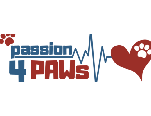 Passion 4 Paws grooming | PetHub