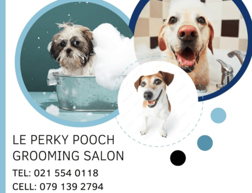 Le Perky Pets Grooming | PetHub