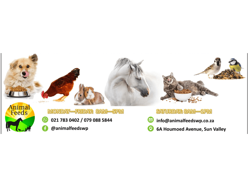 Animal Feeds WP Sun Valley Pethub