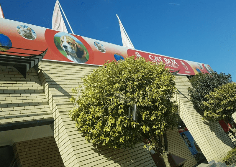 Cat Box Pet Hyper Klerksdorp Pethub