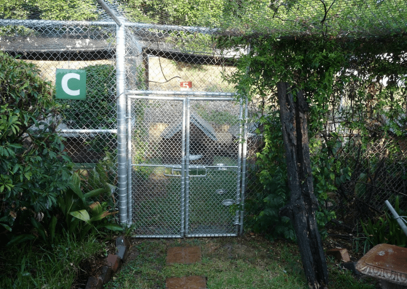 Waterfall Kennels and Cattery Pethub