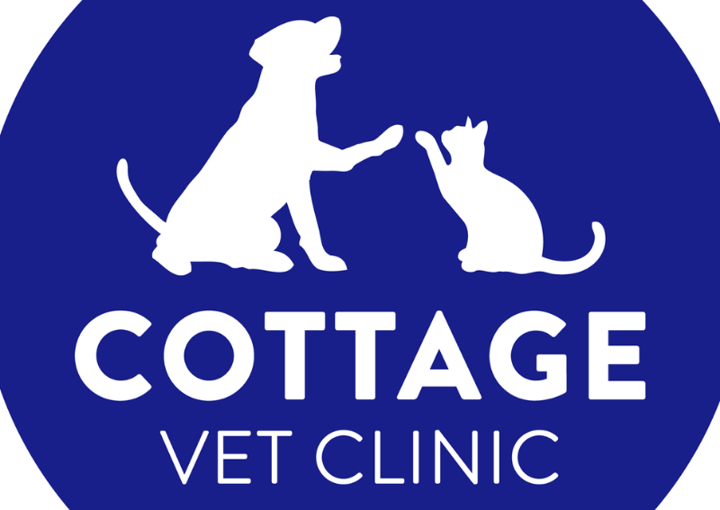 Cottage Vet Clinic in Gordons Bay Pethub