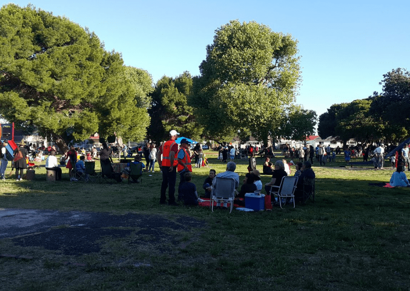 Plumstead Animal Hospital Pethub