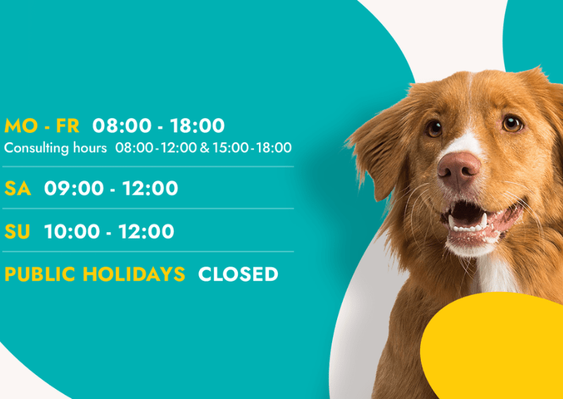 Akira Animal Hospital in Pretoria Pethub