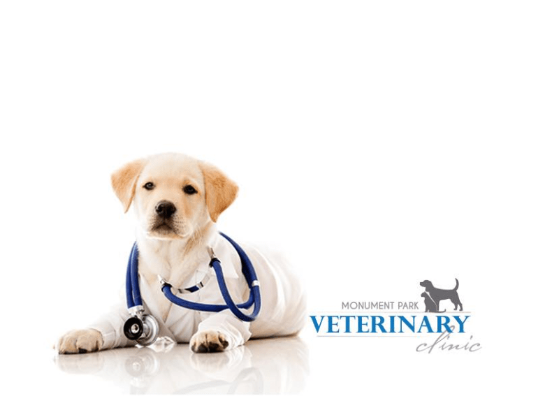 Monument Park Veterinary Clinic Pretoria Pethub