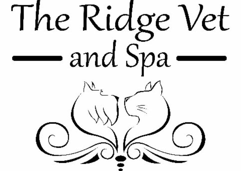 The Ridge Vet & Pet Spa uMhlanga Pethub