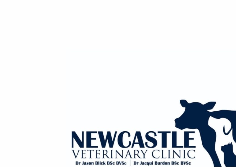 Newcastle Veterinary Clinic Pethub
