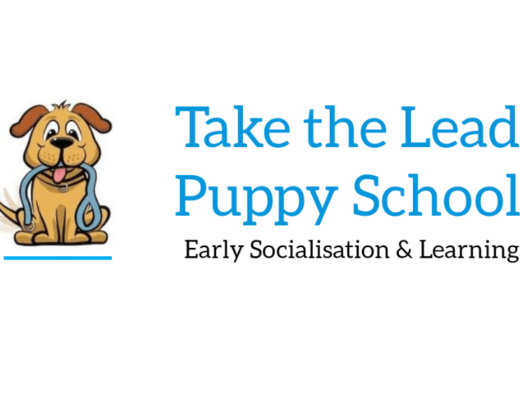 Take the Lead Puppy School on PetHub