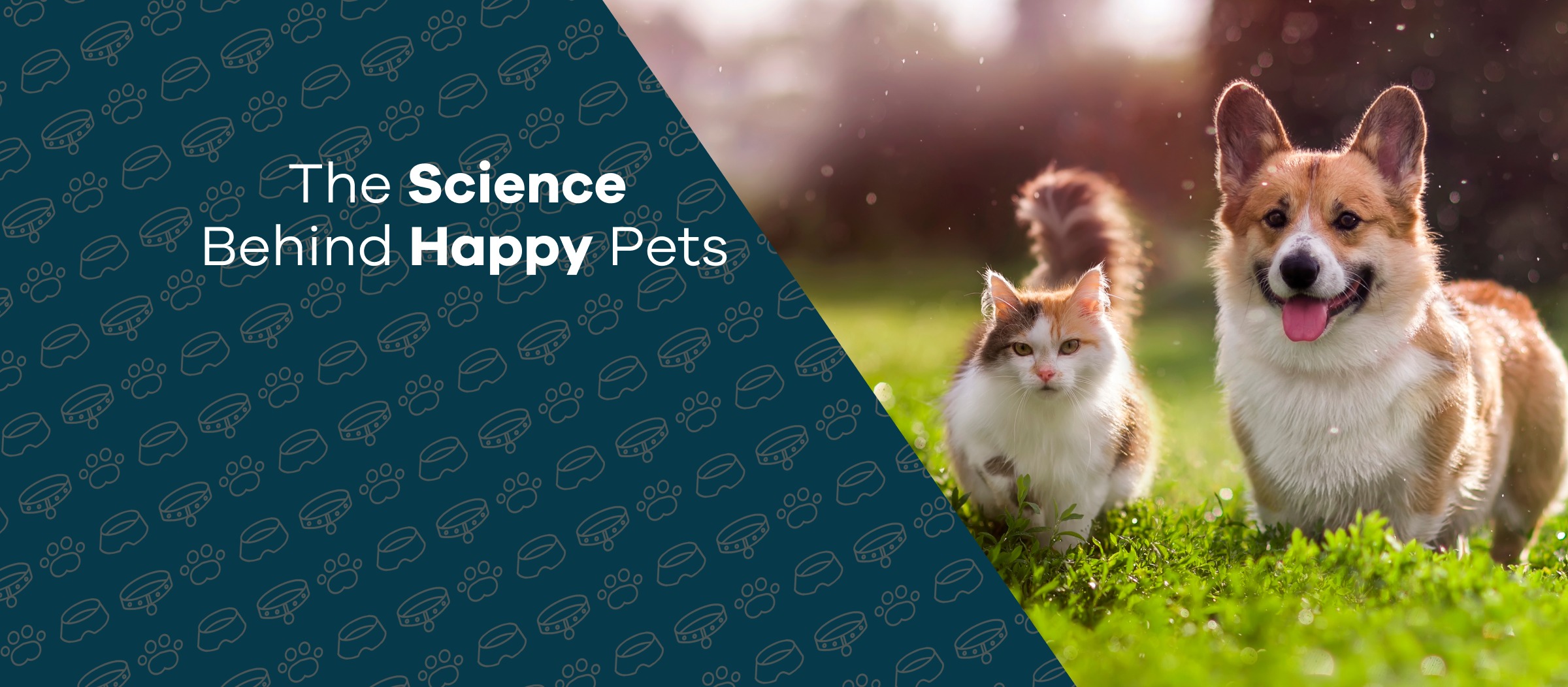 Science Somerset West Hyper Pethub