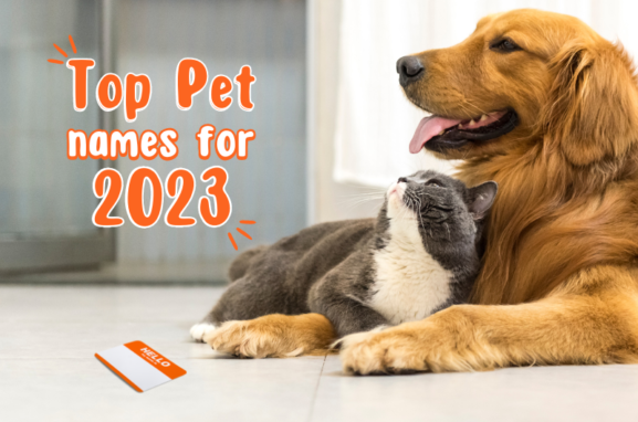 Top Pet Names of 2023