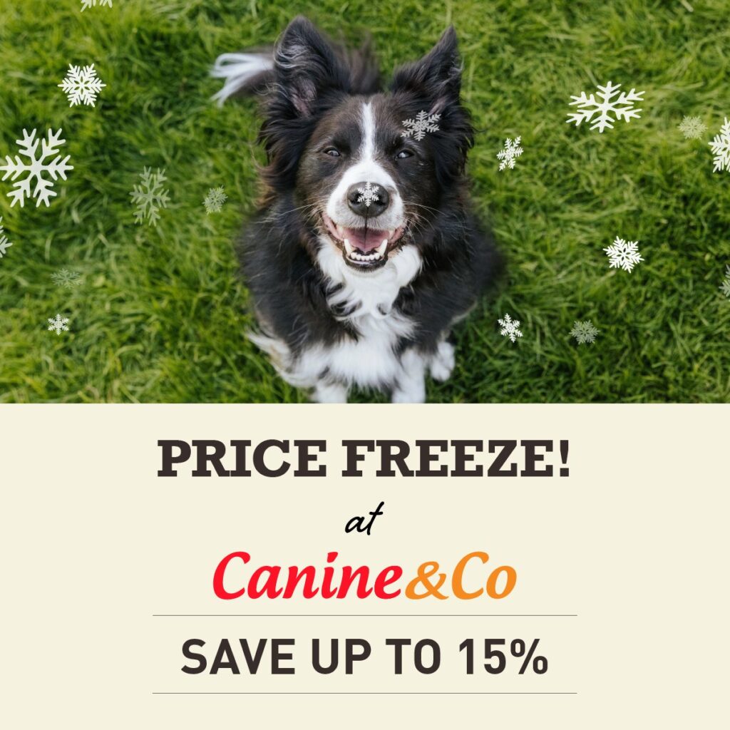 Canine&Co - Online Pet Store SPecials