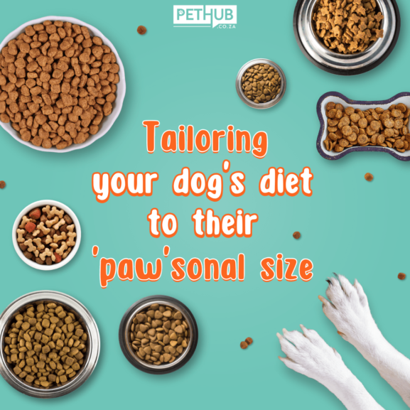 Dog Food for Dog Sizes and Ages
