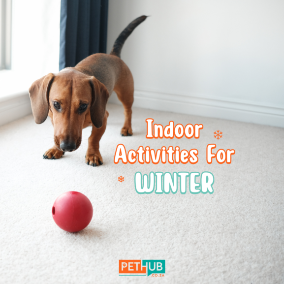 Indoor Activities For Winter