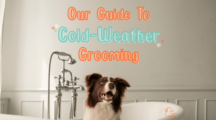 A Guide to Cold-Weather Grooming